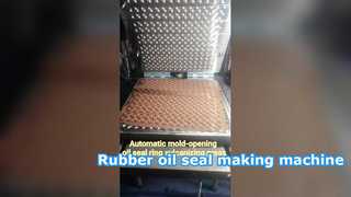 CE Rubber Vulcanizing Press for rubber oil seal ring making